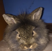 Immagine del profilo di Erikag93