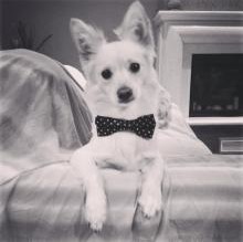 Teddy Notarianni's avatar
