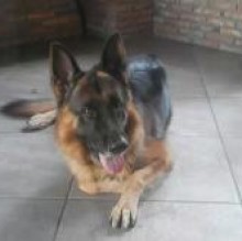 Avatar de ecos trovato
