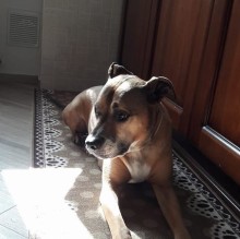 Elisabetta Veronese's avatar