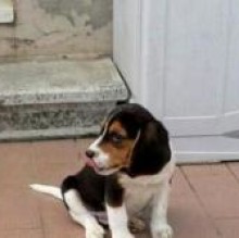 Theodore Badioli's avatar