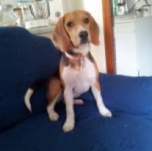 Lilly scial's avatar