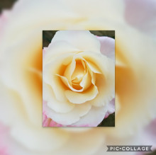 Aurora Bardini's avatar