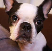 otto.etchen's Avatar