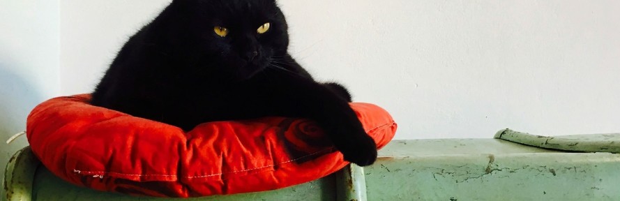 Cover di LauraTrapper