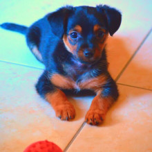 Filippo Amico's avatar