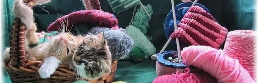 Cover di Francesca Morelli