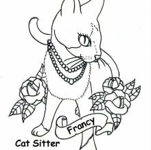 Immagine del profilo di Francesca Morelli