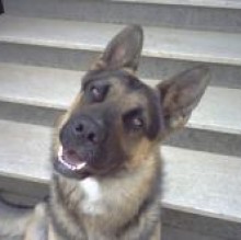 Paccolino's avatar