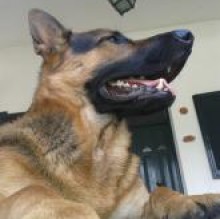Lothar's avatar