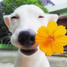 Avatar de Gabriela Alejandra Gaona