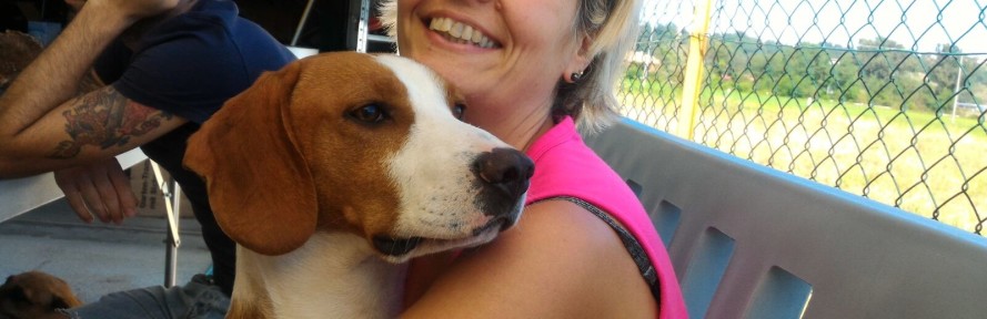 Cover di Cristina Braga