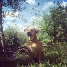Mia Valdem's avatar