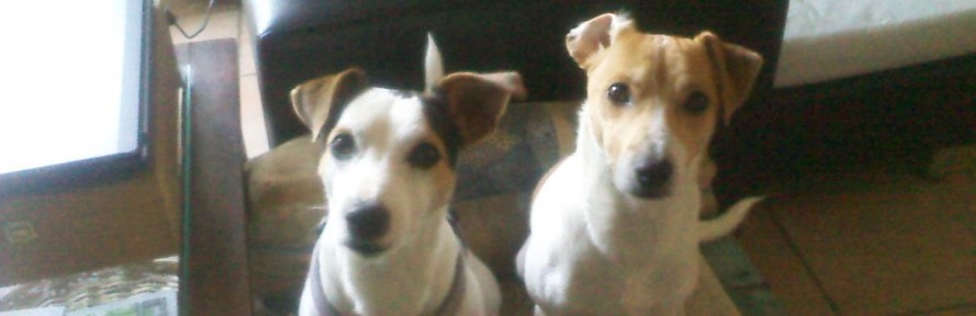 DiegoBirillo jackfamily's couverture