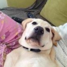 MAYLA CANTAFORA's avatar