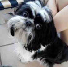Charlie92's avatar