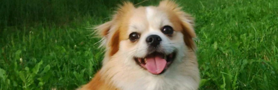 Cover di Eutiziana Tracco