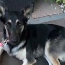 lifegsd's avatar