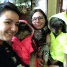 ToscaMaya DiSalvo's avatar
