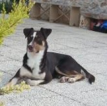 PUPI 4JZ's avatar