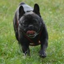 pablovery's avatar