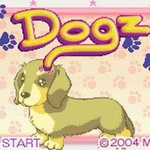 Immagine del profilo di Loren Pat