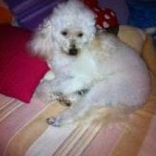 Peggy Manzo's avatar