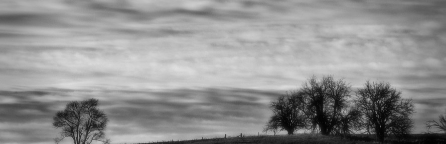 Bea Trice's couverture