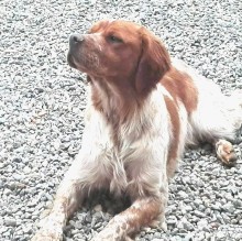 Giada Bompan's avatar