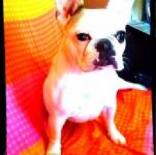 marilyngrassia's avatar