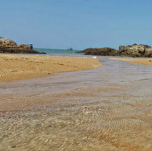 Avatar de Laura 1971