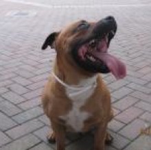 Avatar de Winston Cattaneo