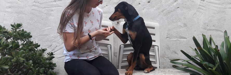 Cover di Roberta Loddo