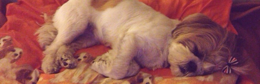 Cover di Giusy Costa