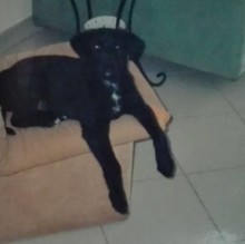 Anna Maria Lombardi's avatar