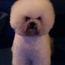 Lucy Mapelli's avatar