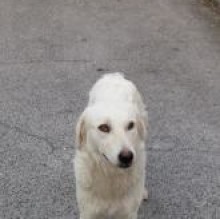 Kicca Paolini's avatar