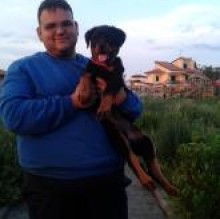 gigimayasabry's avatar