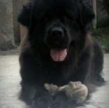 Avatar de andwendy