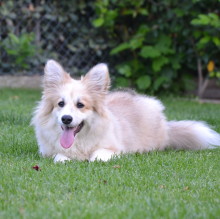 Abbey dell'Etruria's Avatar