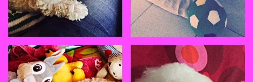 LillieMia Rossi's couverture