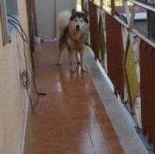 Immagine del profilo di maya zuccaro