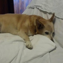 Norma Marenghi's avatar