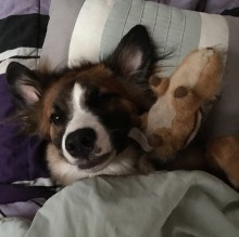 Stacey Hoffman's avatar