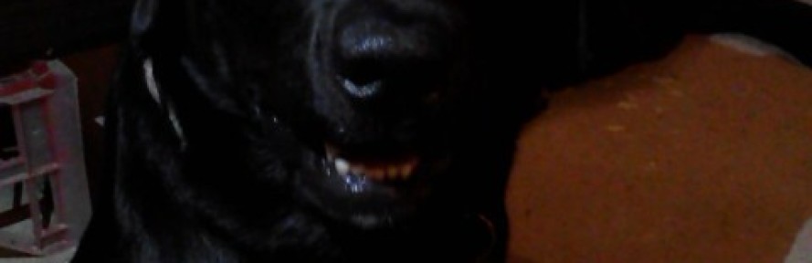 YagoSqueo's cover