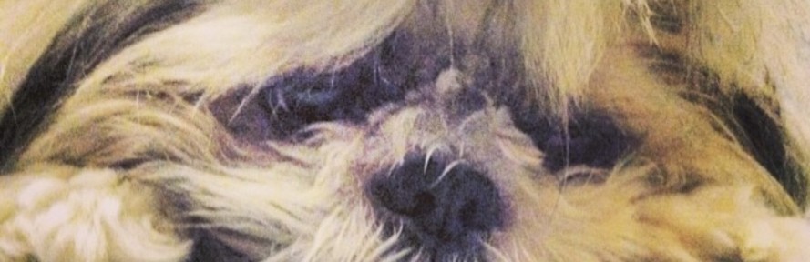 Cover di Christian Terzoli