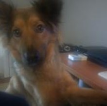 Cabiria's avatar