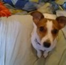 Lalita's avatar