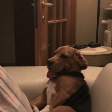 Immagine del profilo di Maria Eleonora Bartoli