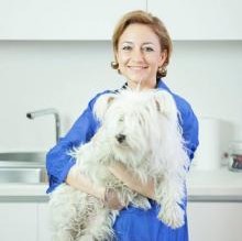 Immagine del profilo di Pepita DiNoia